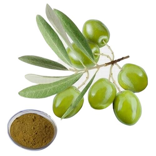 桂林创盈生物chanybio.com 桂林创盈生物chanybio.com